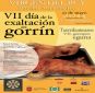 Virgen del Puy. VII D�a de la exaltaci�n del gorr�n.